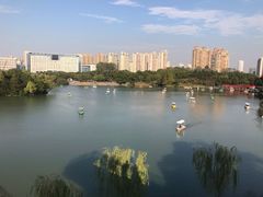-青枫公园