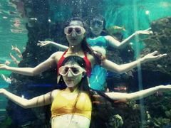 -荣誉国际酒店-海鲜自助餐厅(迎宾大道店)