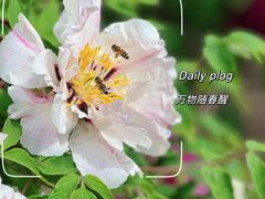 -国家植物园