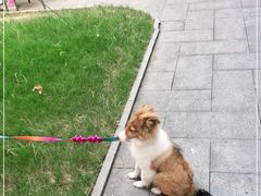 -Money Shops(愚园路店)