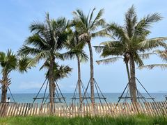 -大梅沙海滨公园