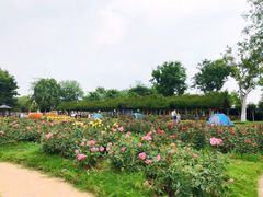 -武汉紫薇都市田园