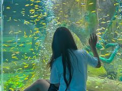 -合肥海洋世界