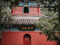 -洛阳白马寺