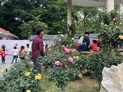 -人民公园(罗湖区)