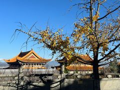 -崇圣寺三塔文化旅游区