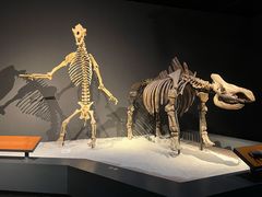 -重庆自然博物馆(新馆)