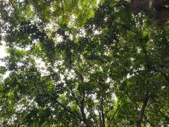 -天河儿童公园
