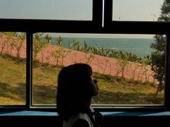 -广东惠东海龟国家级自然保护区