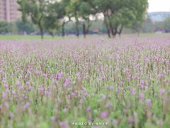 -杭州城北体育公园