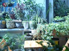 -家烧面馆【南山路知名经典面食】
