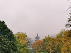 -灵谷景区