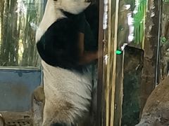 -海南热带野生动植物园