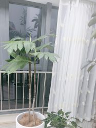 -HEYAN荷妍专业脱毛连锁机构