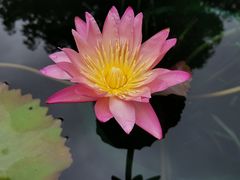 -上海辰山植物园