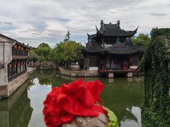 -鲁镇