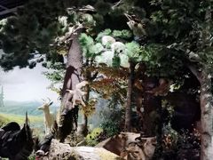 -陕西自然博物馆