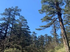 -瓦屋山景区