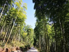 -众神白水涧景区