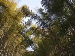 -同里国家湿地公园