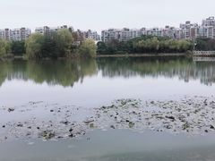 -新江湾城公园
