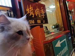 -烤肉季饭庄