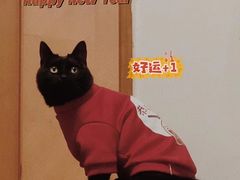 -艾贝尔宠物医院 ·中兽医·宠保定点(北门桥店)