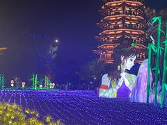-洋湖国家湿地公园