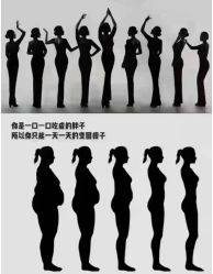 -Fundi张玉珊修身堂·indiba·BTL科技瘦身