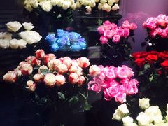 iphone_upload_pic-ROSEONLY诺誓(青岛万象城店)