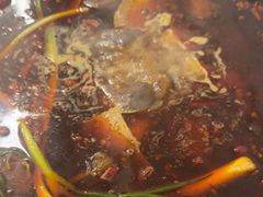 -黄潇洒老火锅(九眼桥宏济巷店)