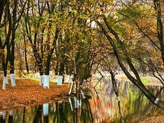 -长白岛森林公园