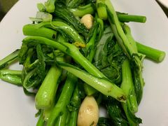 炒菜芯-东江客家情食府