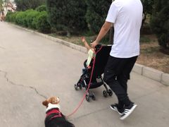 -达爱动物医院·犬猫分区·CT·复杂眼科(远洋山水分院)
