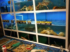 水产区-金龙·打边炉(南京西路店)