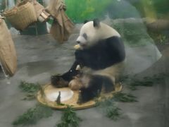 -无锡动物园·太湖欢乐园