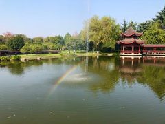 景点-橘子洲景区
