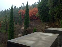 -龙口南山旅游景区