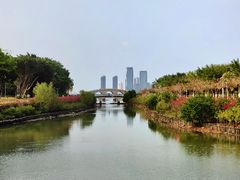 -万绿园