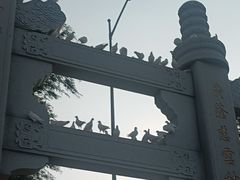 -天津妈祖文化园