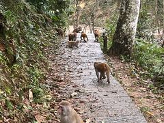 -姑婆山旅游区