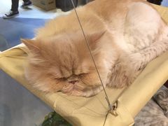 -小时光咖啡馆(开森度假森林店)