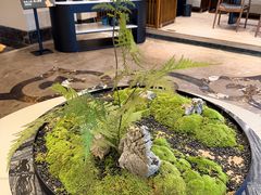 -臻品足道(后湖店)