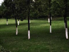 -重庆中央公园(渝北区)