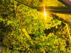 -袁记串串香(新南门店)