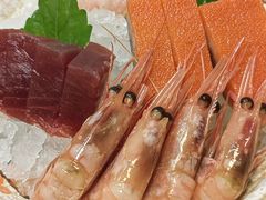 -左舞日本料理