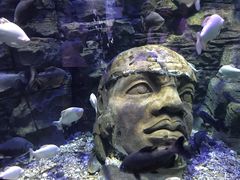 -成都浩海立方海洋公园