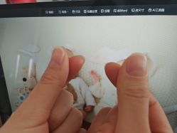 -玛瑞莎孕婴童摄影到家拍