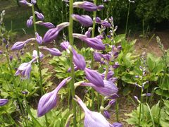 -鉴湖国家城市湿地公园