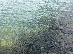 -抚仙湖禄充风景区